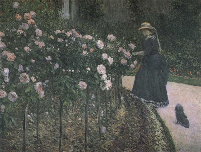 Gustave Caillebotte Some Rose in the garden China oil painting art